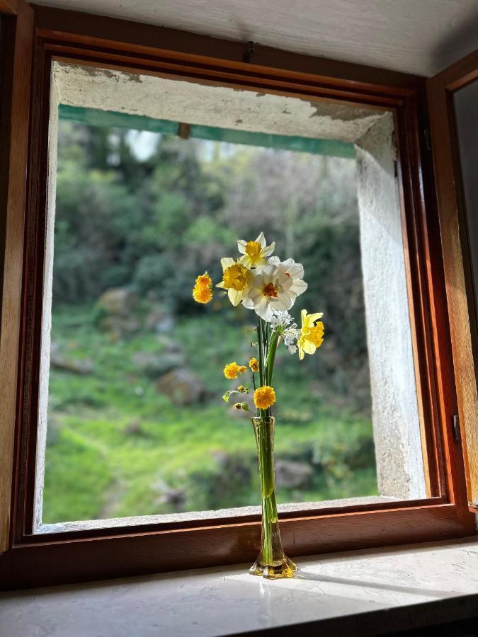 Casina Orione Leilighet Montecatini Val di Cecina Eksteriør bilde