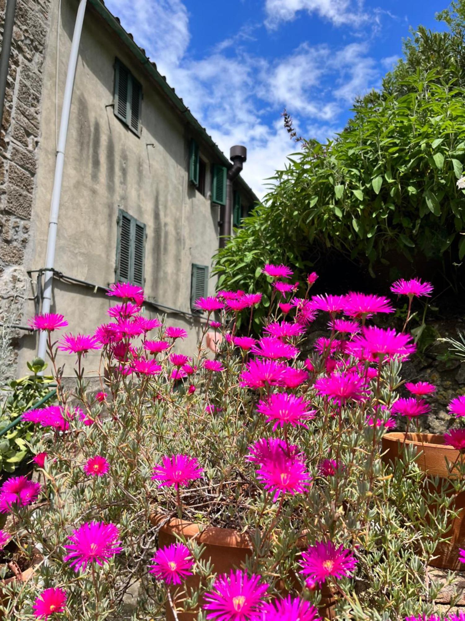 Casina Orione Leilighet Montecatini Val di Cecina Eksteriør bilde